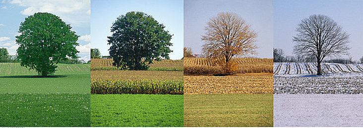 《街头霸王6》开发团队展示嘉米各种服装设计